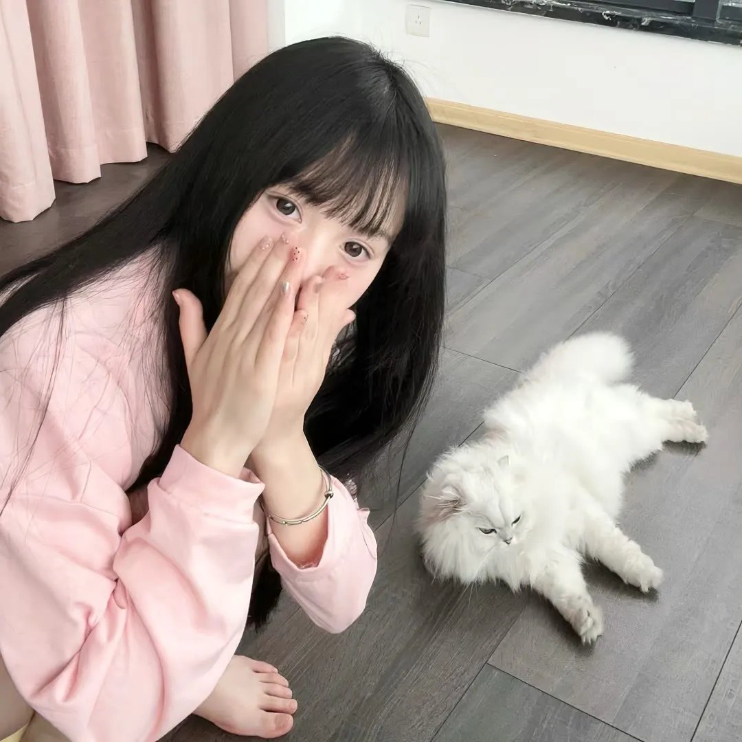 圣痕炼金士第二季